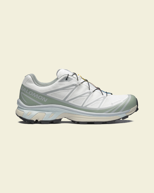 XT-6 GORE-TEX WHITE/GREEN MILIEU/ICE FLOW