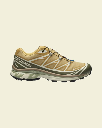 XT-6 GORE-TEX ANTELOPE