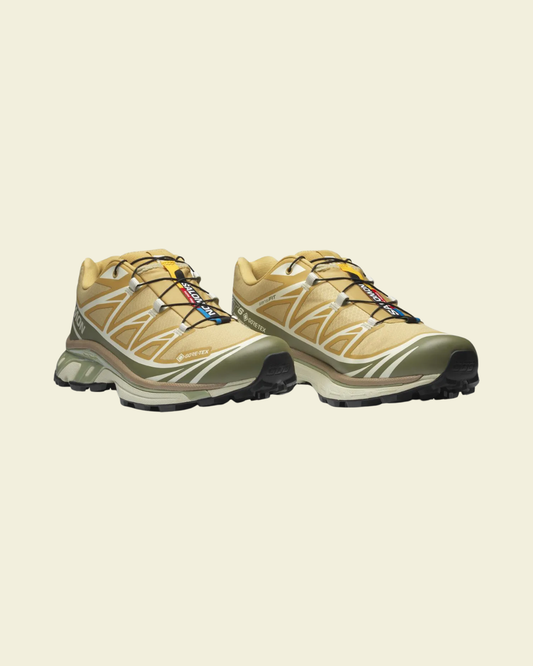 XT-6 GORE-TEX ANTELOPE
